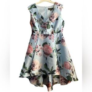 Floral Sleeveless Formal Dress 6P Shelby Nites Peonies & Apple Blossoms Blue